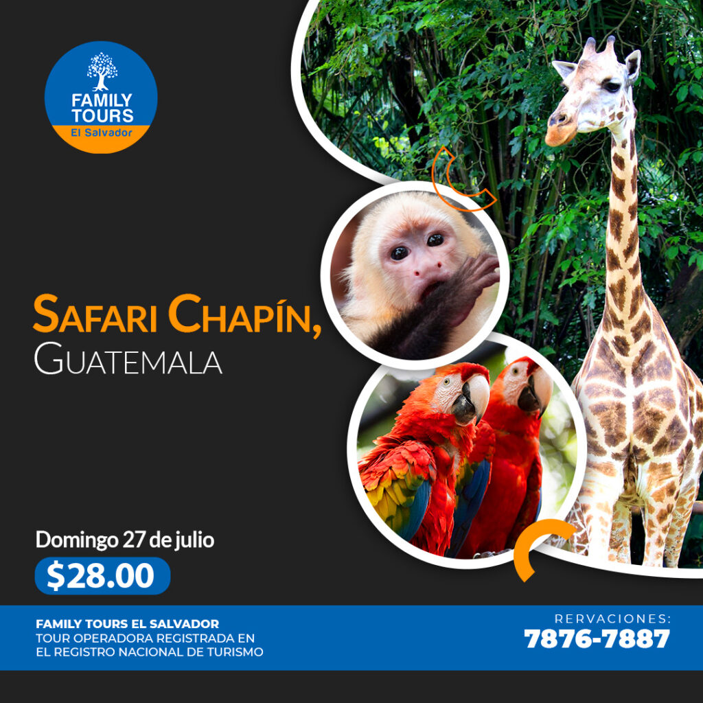 Safari Chapin